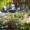 Outdoor Living - In Living Balance